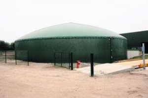 coverlagoon