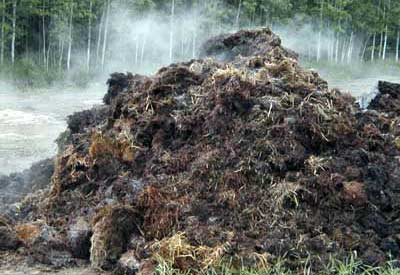 biogasmanure